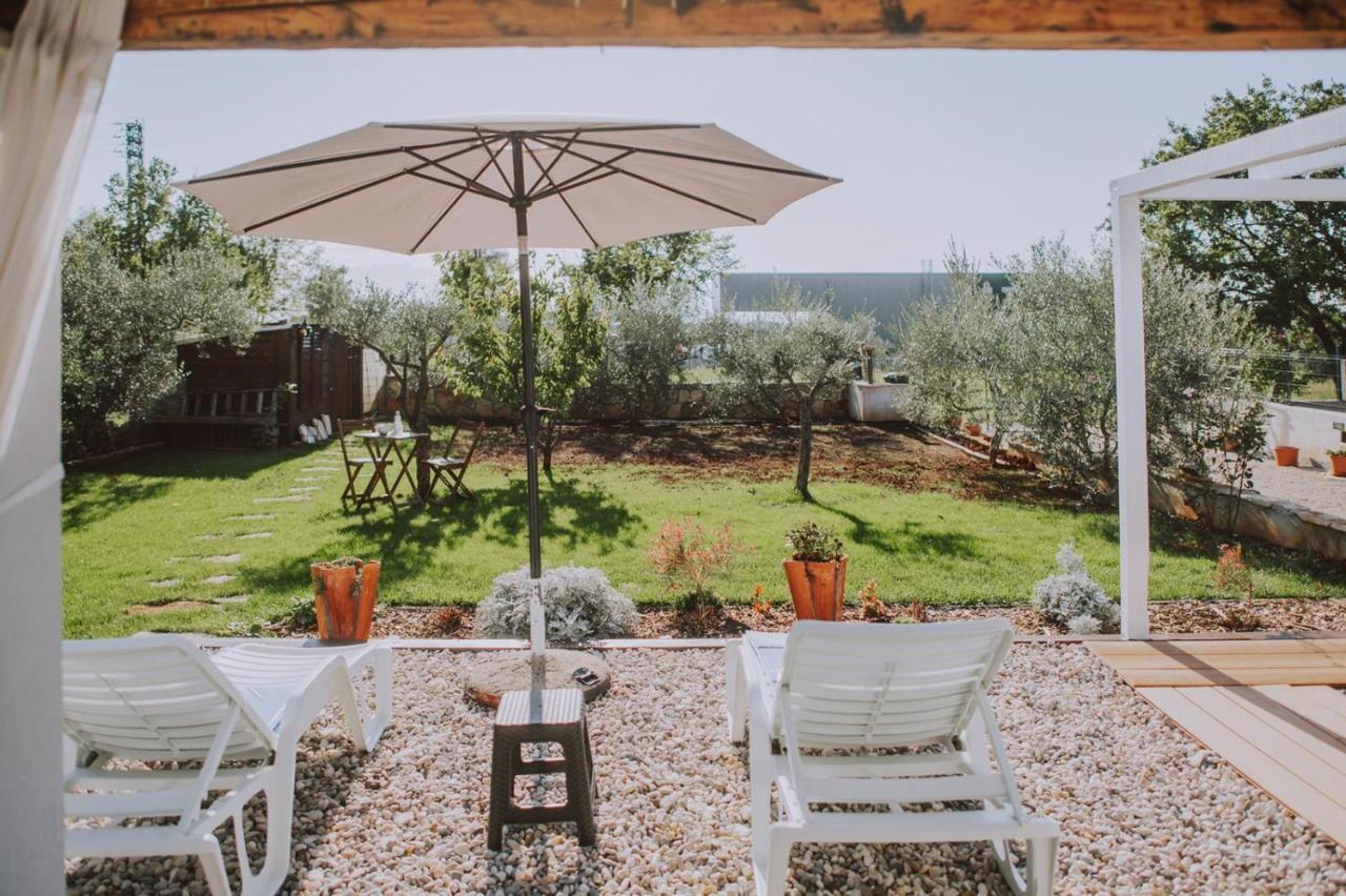 Villa Molo Novigrad  Exterior photo